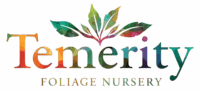 logo en png